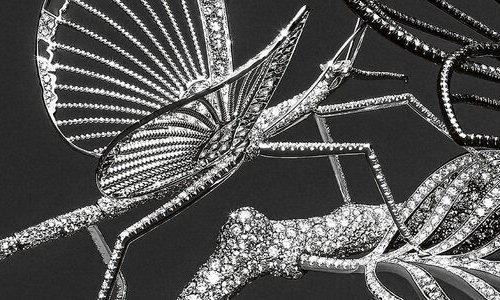 At Boucheron, Claire Choisne recounts nature's fleeting beauty