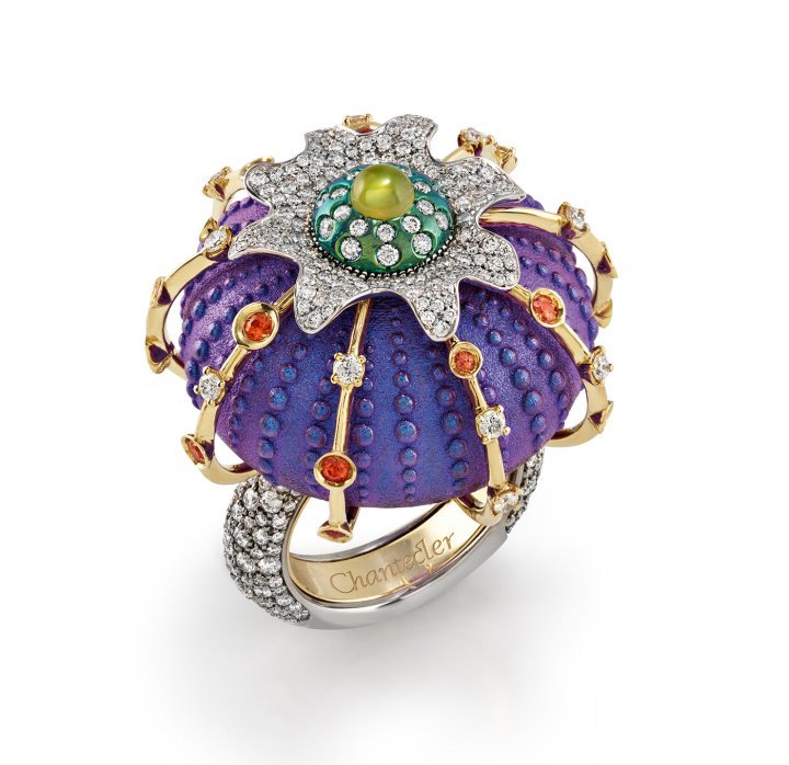 Small Sea Urchins ring in coloured titanium, diamonds and sapphires