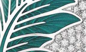 Victor Mayer - Tropical zest for life