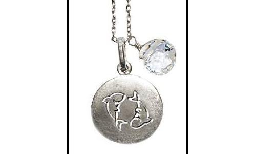 Anzie Jewelry - Zodiac Disk Necklace to celebrate new website