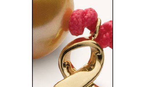 Jewelmer unveils the “Why We Fight” bracelet