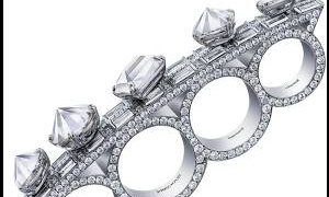 Pluczenik introduced the Forevermark Precious Collection™ in Antwerp