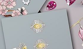Pamela Hastry - Drawing Techniques in Jewellery