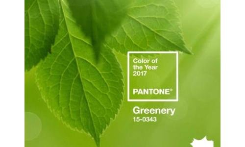 Pantone Unveils Color of the Year 2017: PANTONE 15-0343 Greenery