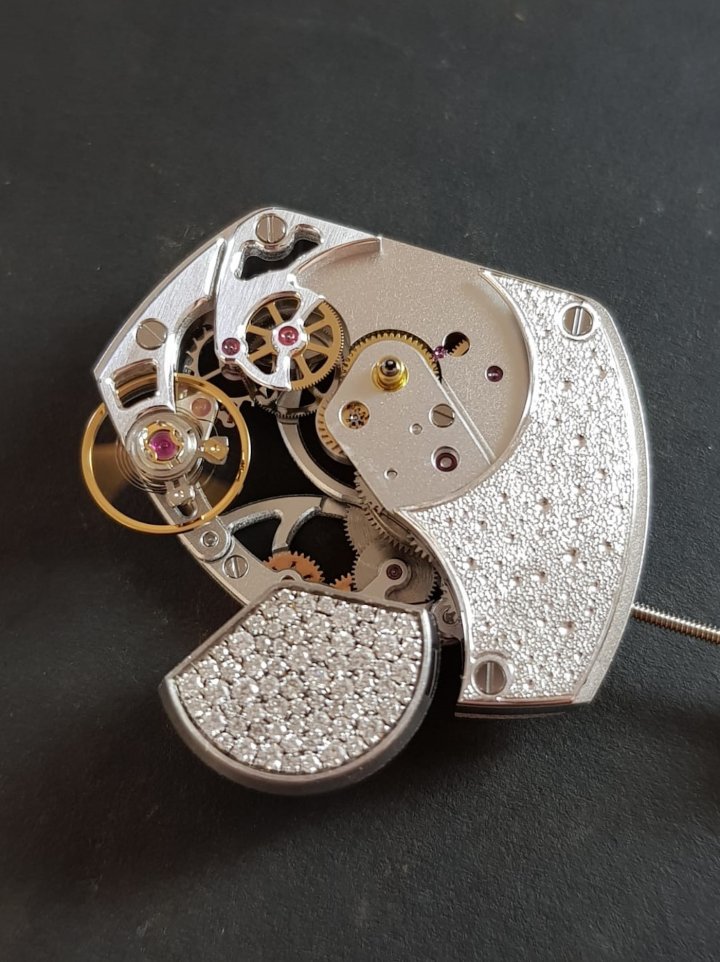 The Tortue Lady movement showcases an oscillating weight that has been remounted on top of the movement, positioned at 6 o'clock, and fitted with a cover that can be set, engraved, coloured, and more.