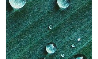 Montegrappa presents Felicità Green Forest & Pearl Grey