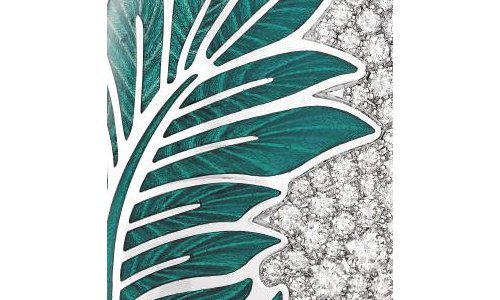 Victor Mayer - Tropical zest for life