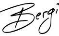 Bergio