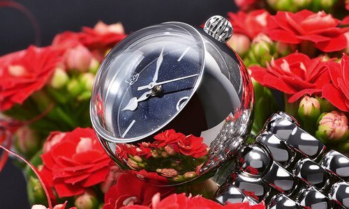 Alexander Shorokhoff Shar: round perfection